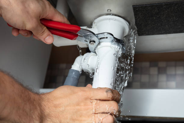 Best Mold removal after water damage  in Colesville, MD
