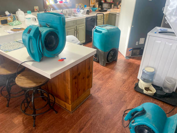  Colesville, MD Water damage restoration Pros