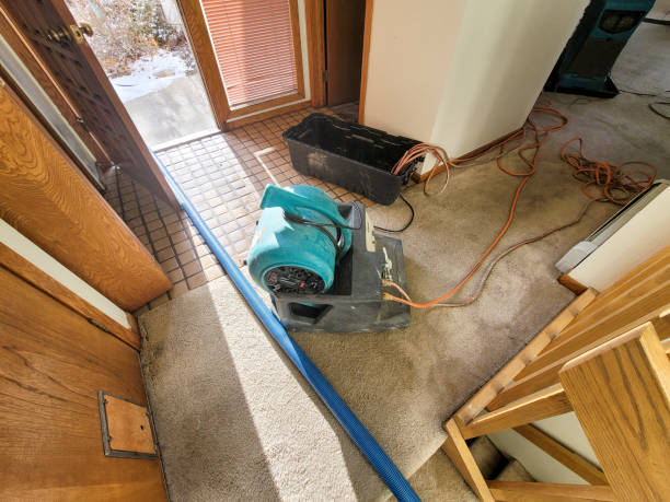 Best Ceiling water damage repair  in Colesville, MD