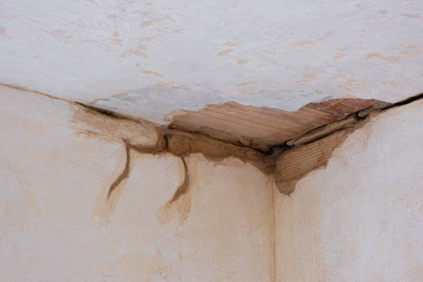 Best Basement water damage restoration  in Colesville, MD