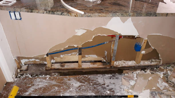 Best Flood damage cleanup  in Colesville, MD
