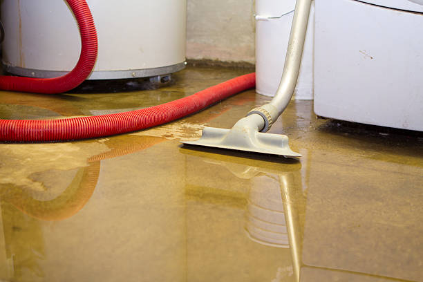 Best Professional water damage repair  in Colesville, MD