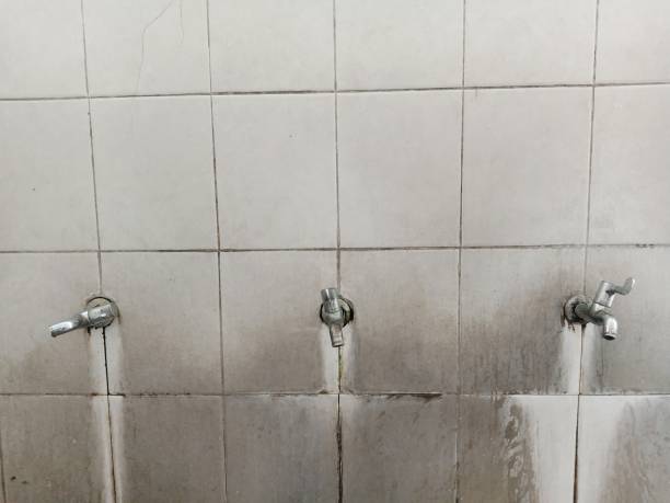 Best Local water damage restoration  in Colesville, MD