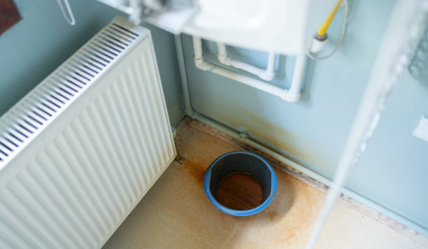 Best 24/7 water damage repair  in Colesville, MD