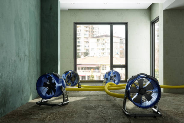 Best Commercial water damage restoration  in Colesville, MD